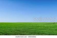 Cleared lot