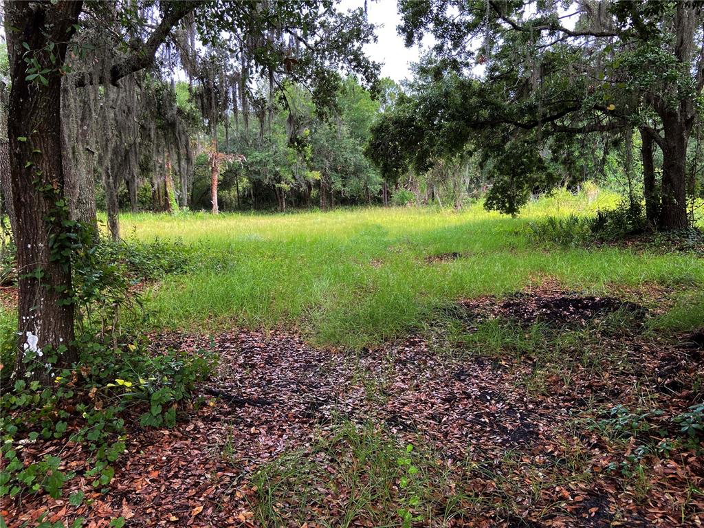 5 acres of cleared Land