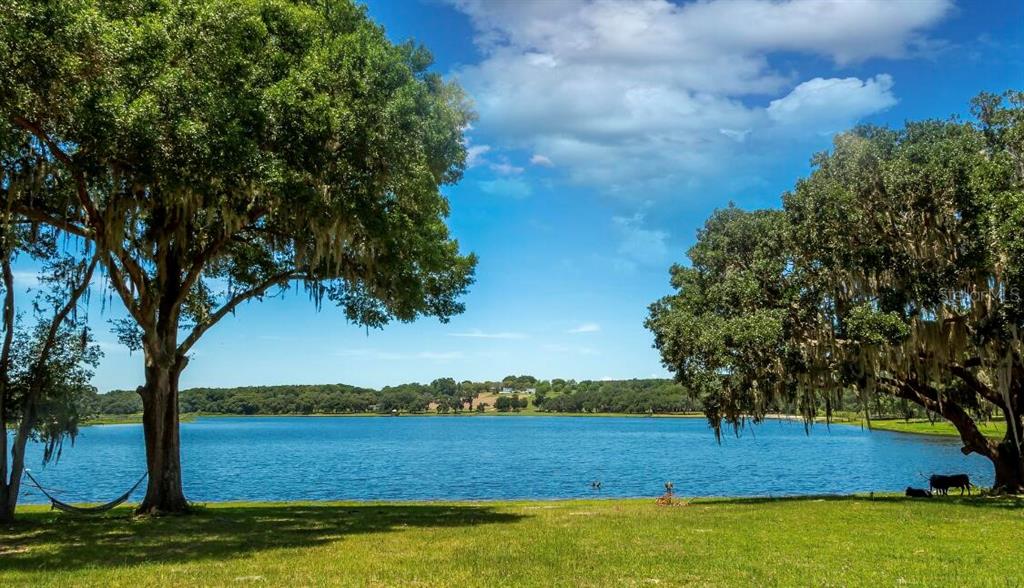 Property for sale at 34710 CLAYTON ROAD UNIT 13, DADE CITY, FL, 33523
