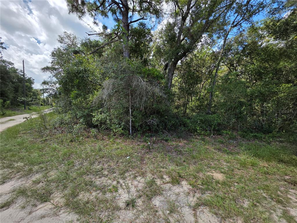 The property is on the corner