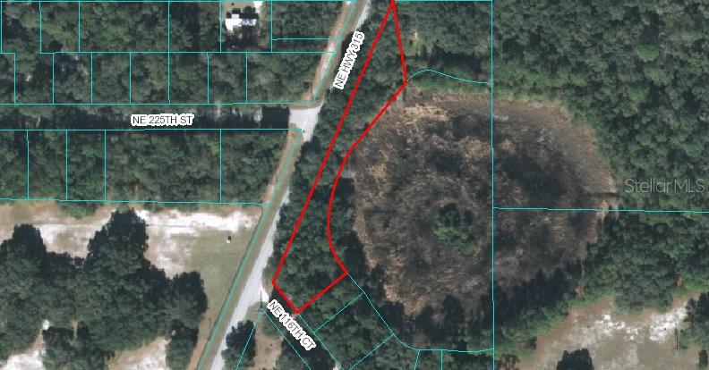 Property for sale at 00 NE HWY 315, FORT MC COY, FL, 32134