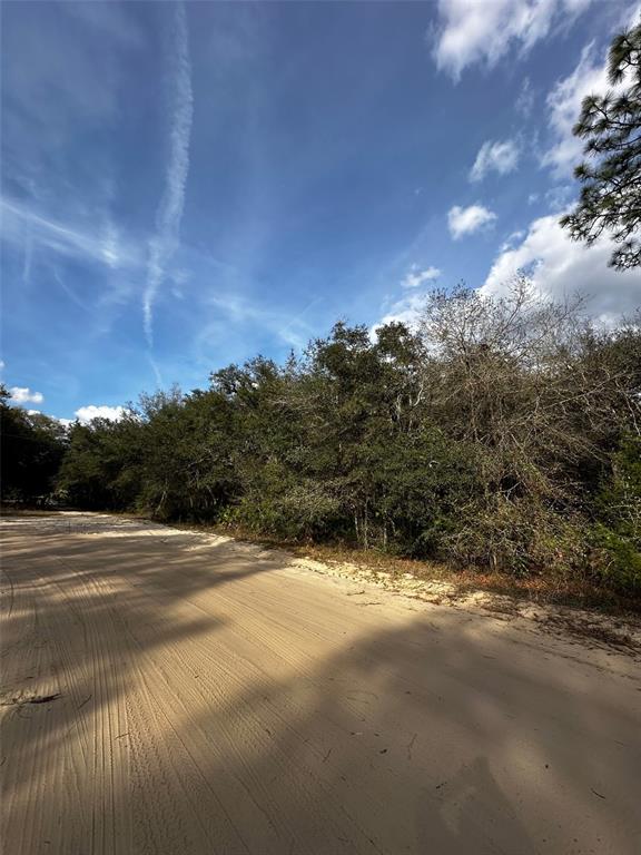 Property for sale at 13-10-24-4079-0060-0040, INTERLACHEN, FL, 32148