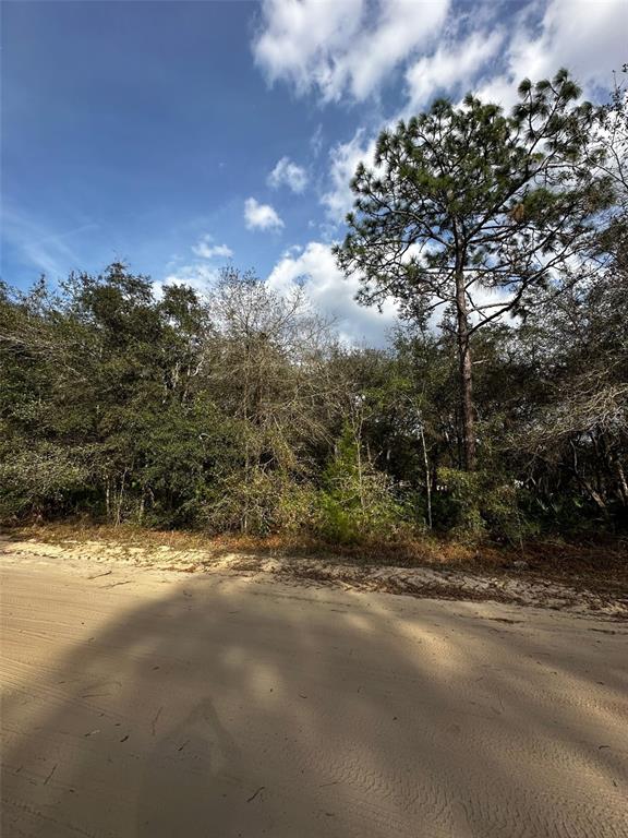 Property for sale at 13-10-24-4079-0060-0040, INTERLACHEN, FL, 32148
