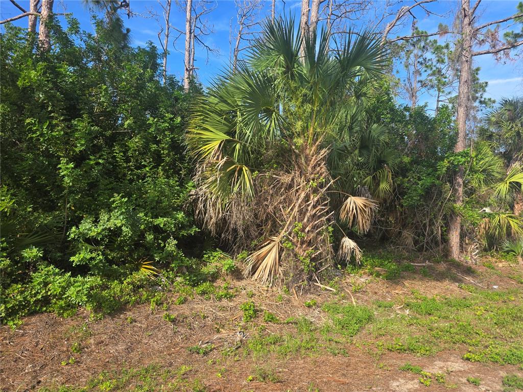Property for sale at PRONTO LANE, NORTH PORT, FL, 34286