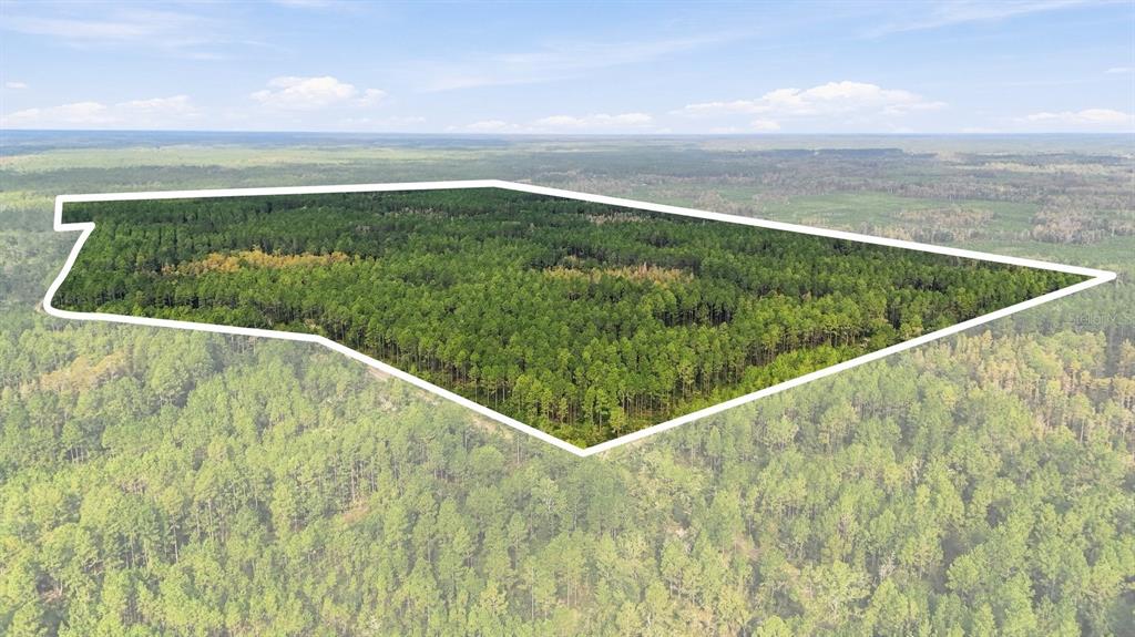 Property for sale at 0 DOC SMITH ROAD, BRONSON, FL, 32621