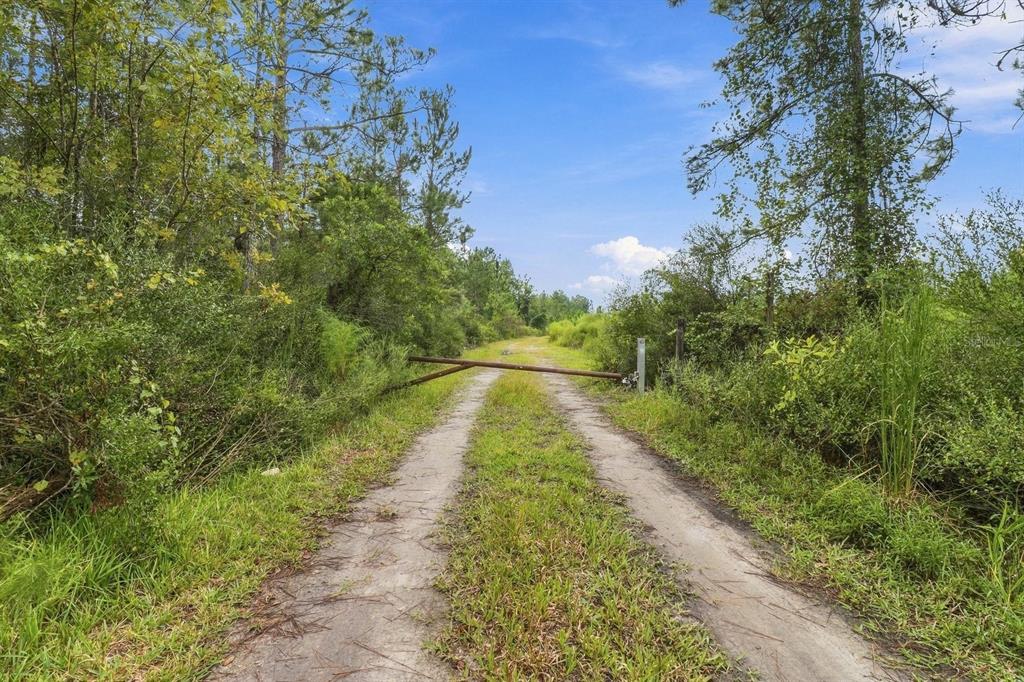 Property for sale at 0 DOC SMITH ROAD, BRONSON, FL, 32621
