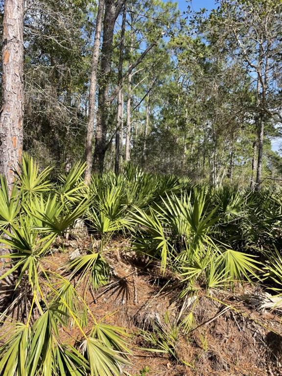 Property for sale at 32 FYFE AVENUE, DEBARY, FL, 32713