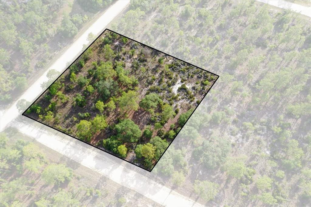 Property for sale at 0000 NE 132 TERRACE LOT 5 TERRACE, WILLISTON, FL, 32696