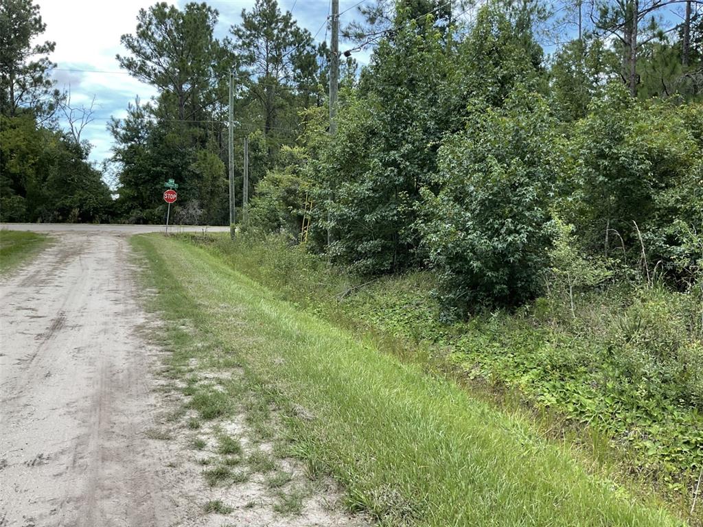 Property for sale at 10210 VAUGHAN AVENUE, HASTINGS, FL, 32145