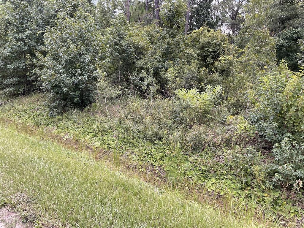 Property for sale at 10210 VAUGHAN AVENUE, HASTINGS, FL, 32145