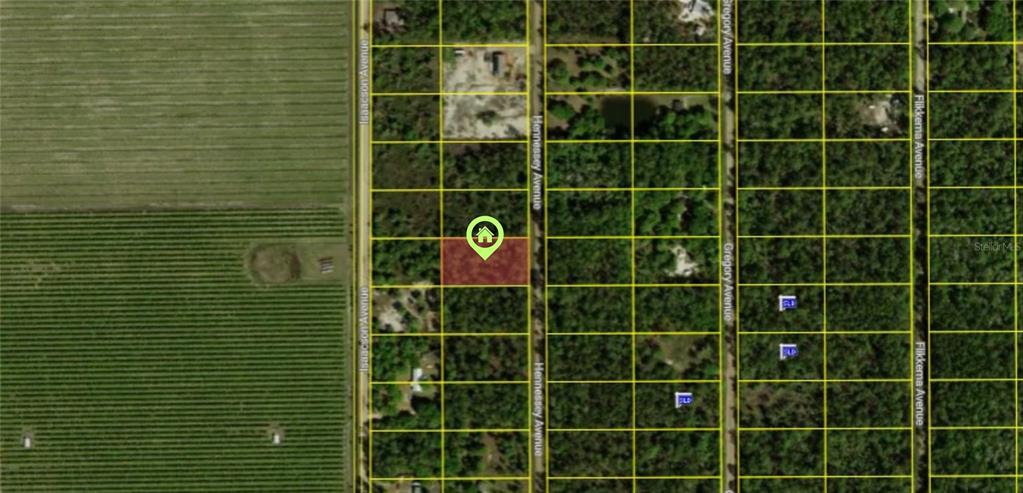 Property for sale at 10515 HENNESSEY AVENUE, HASTINGS, FL, 32145