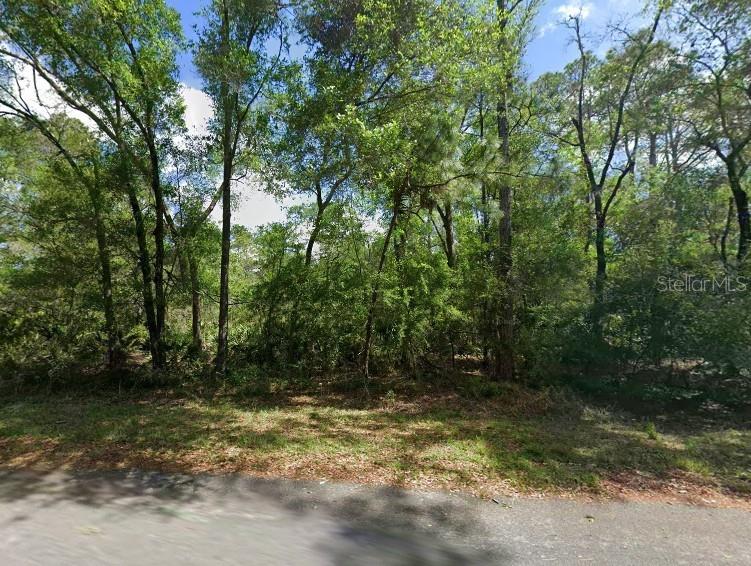 Wooded lot for sale in Crystal Manor.