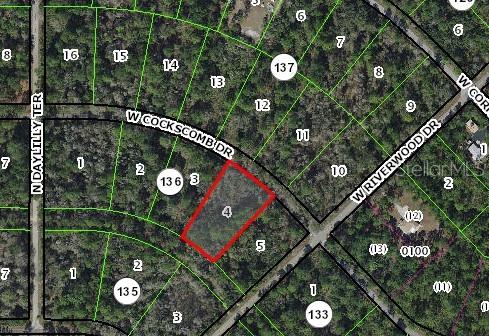 Secluded lot, no immediate neighbors.