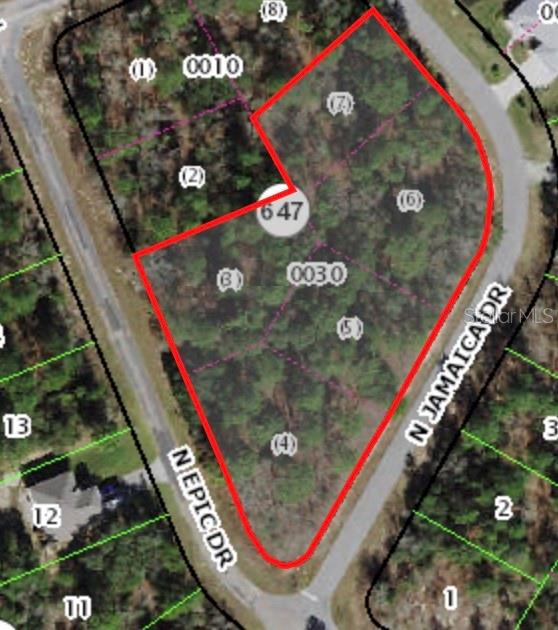Property for sale at 8021 N EPIC DRIVE, CITRUS SPRINGS, FL, 34433