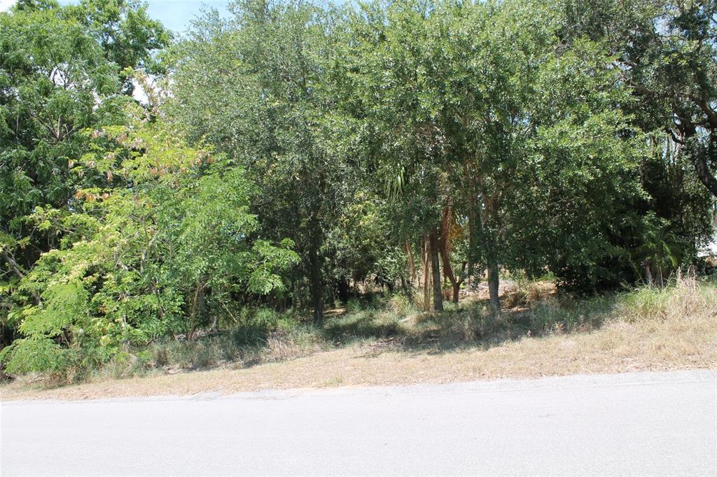 Property for sale at 0 SUNSET TRAIL, BABSON PARK, FL, 33827