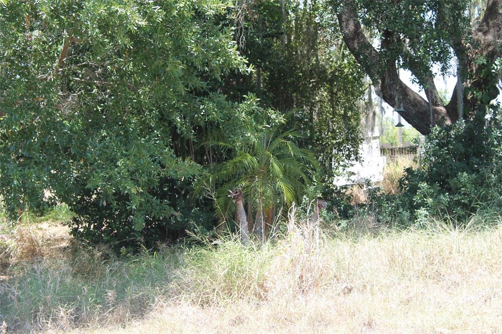 Property for sale at 0 SUNSET TRAIL, BABSON PARK, FL, 33827