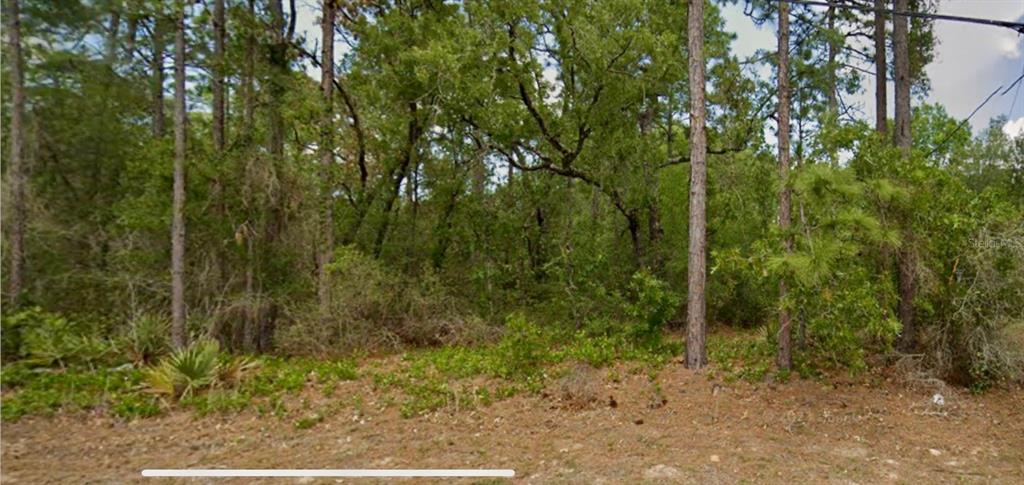 Property for sale at 8550 N CITRUS SPRINGS BOULEVARD, CITRUS SPRINGS, FL, 34433