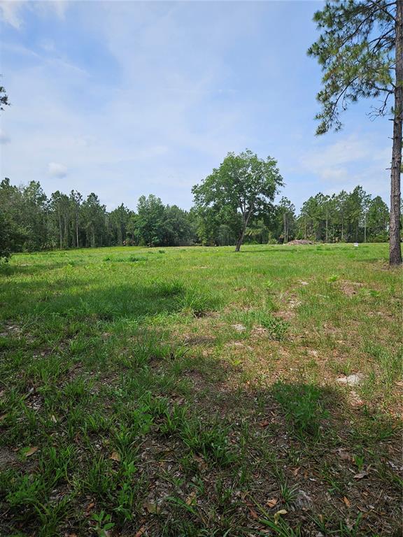 Property for sale at GENEVA WOODS COVE, GENEVA, FL, 32732