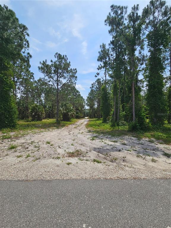 Property for sale at GENEVA WOODS COVE, GENEVA, FL, 32732