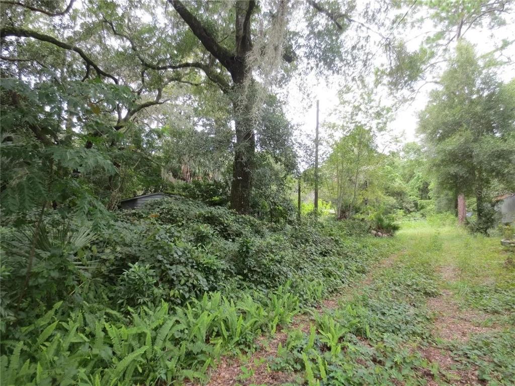 Property for sale at 16865 SE 3RD PLACE, SILVER SPRINGS, FL, 34488