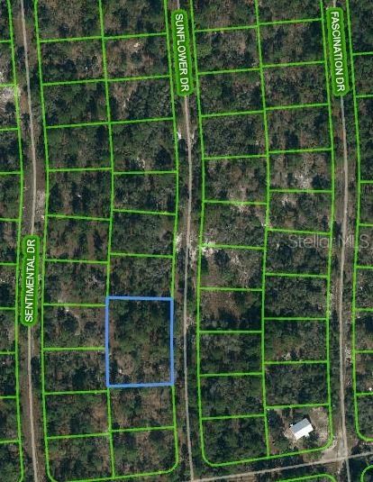 Property for sale at 244 SUNFLOWER DRIVE, LAKE PLACID, FL, 33852