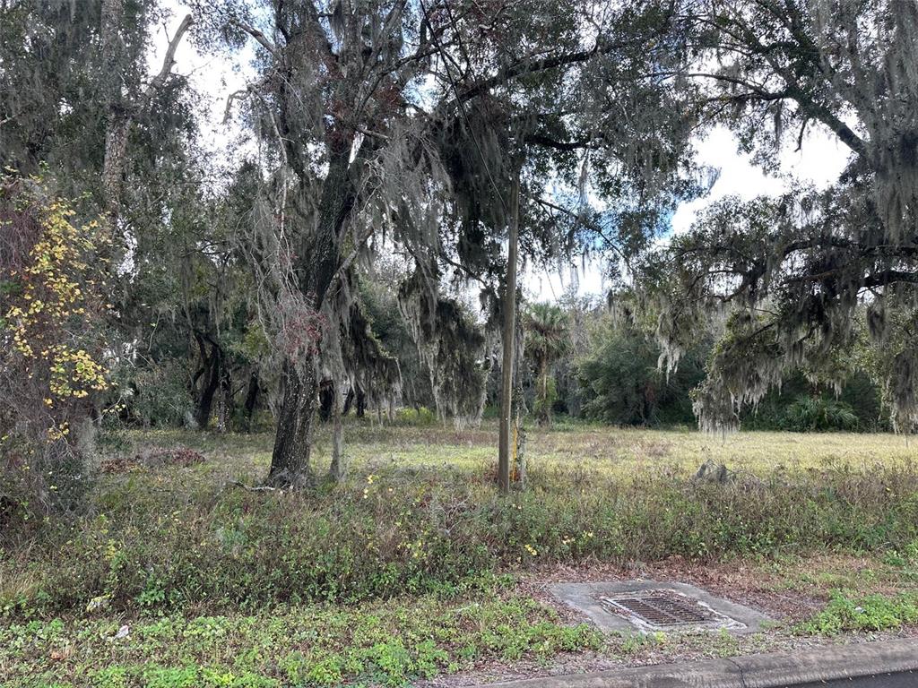 Property for sale at DOYLE ROAD, OSTEEN, FL, 32764