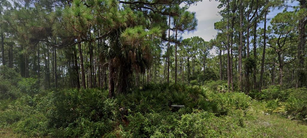 Property for sale at 13124 WOOLARD AVENUE, PORT CHARLOTTE, FL, 33953