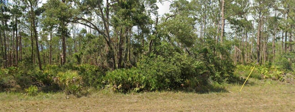 Property for sale at 13124 WOOLARD AVENUE, PORT CHARLOTTE, FL, 33953