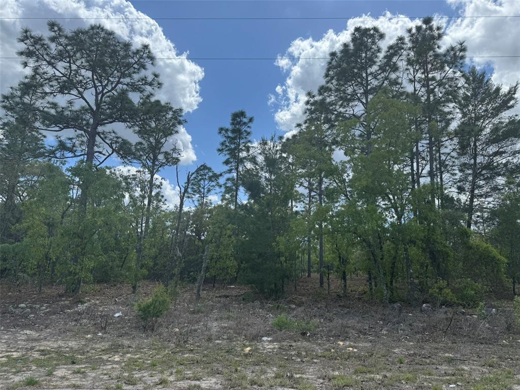 Property for sale at 3000 W LIZA PLACE, DUNNELLON, FL, 34433