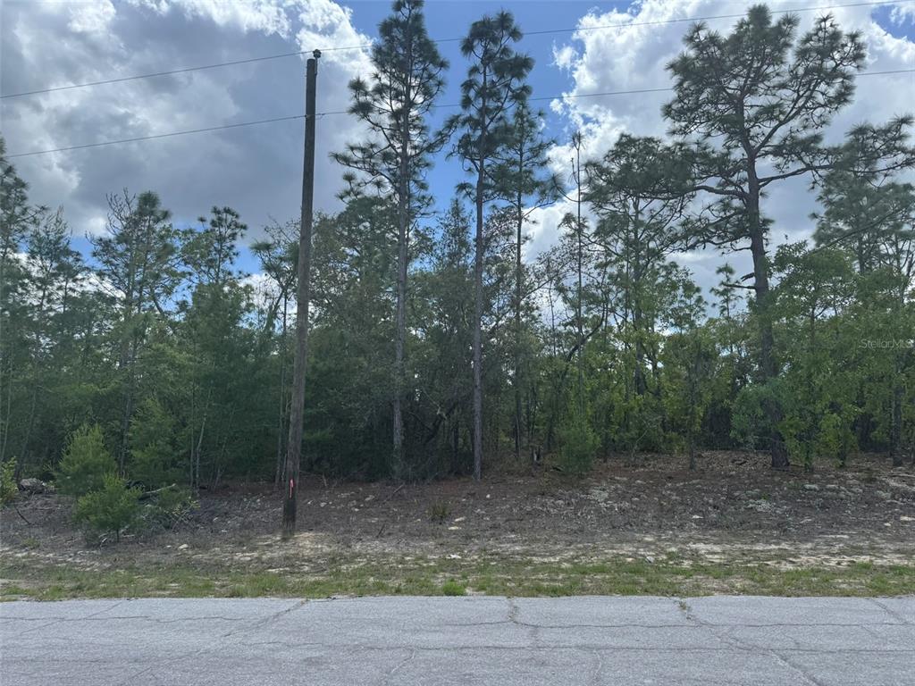 Property for sale at 3000 W LIZA PLACE, DUNNELLON, FL, 34433