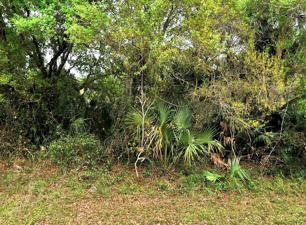 Property for sale at BACKERT RD., NORTH PORT, FL, 34291