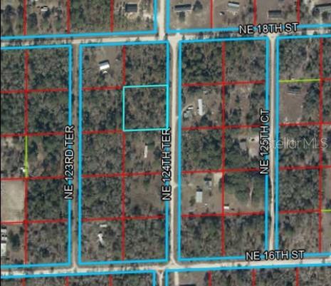 Property for sale at 00 NE 124TH TERRACE, WILLISTON, FL, 32696