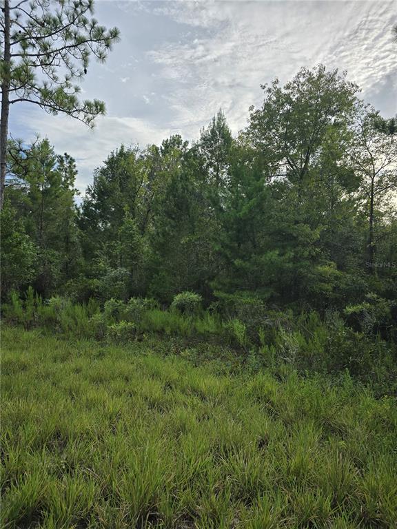 Property for sale at 00 NE 124TH TERRACE, WILLISTON, FL, 32696