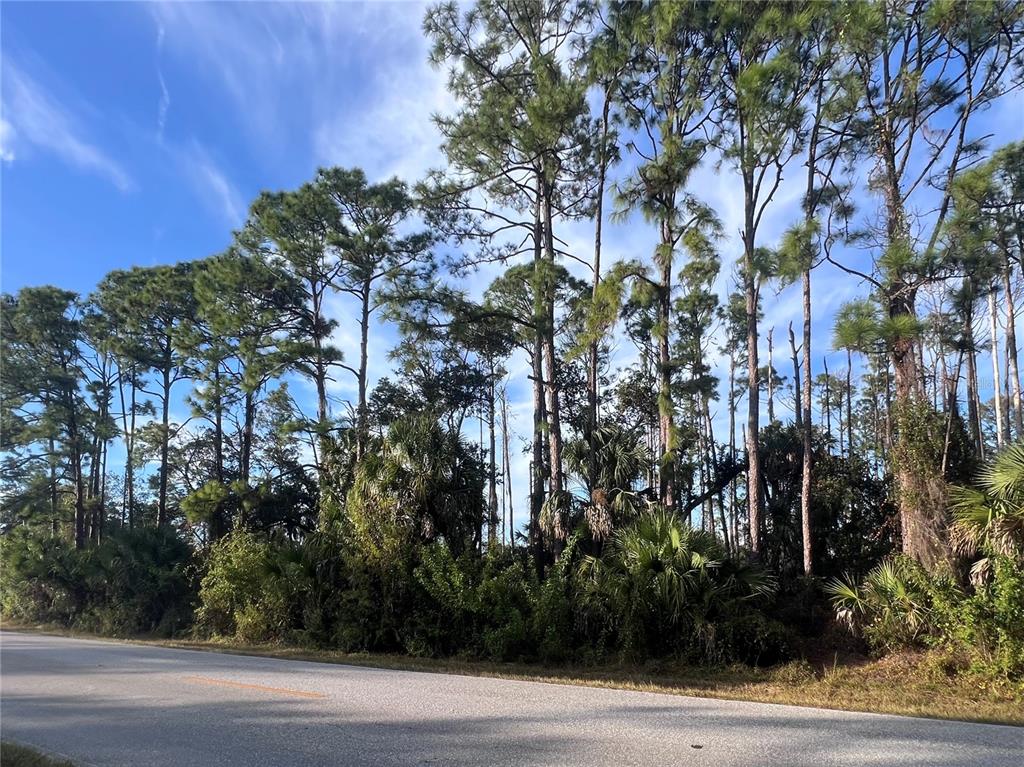 Property for sale at 13486 CHAMBERLAIN BOULEVARD, PORT CHARLOTTE, FL, 33953