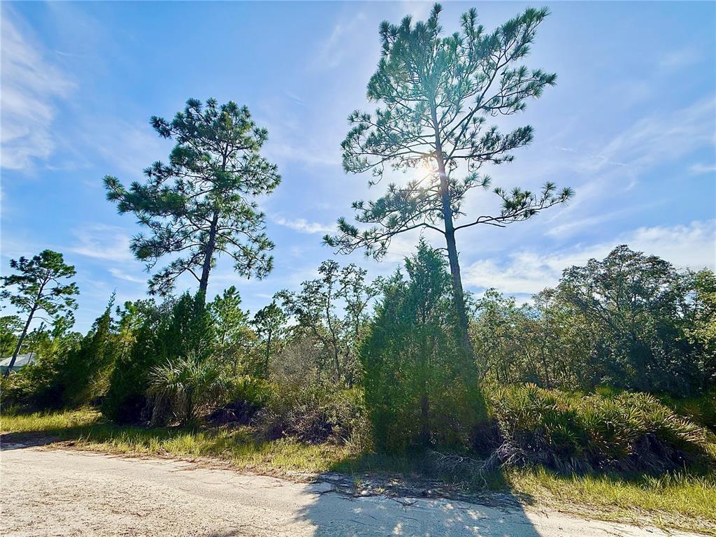 Property for sale at RYDAL ROAD, WEEKI WACHEE, FL, 34614