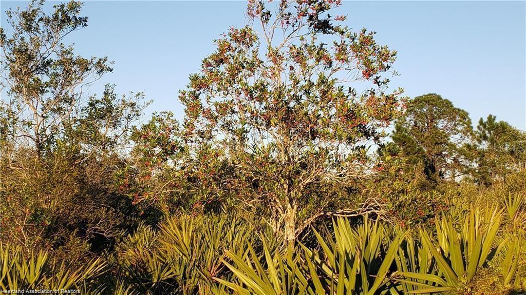 Property for sale at 625 N RANGE DRIVE, LORIDA, FL, 33857