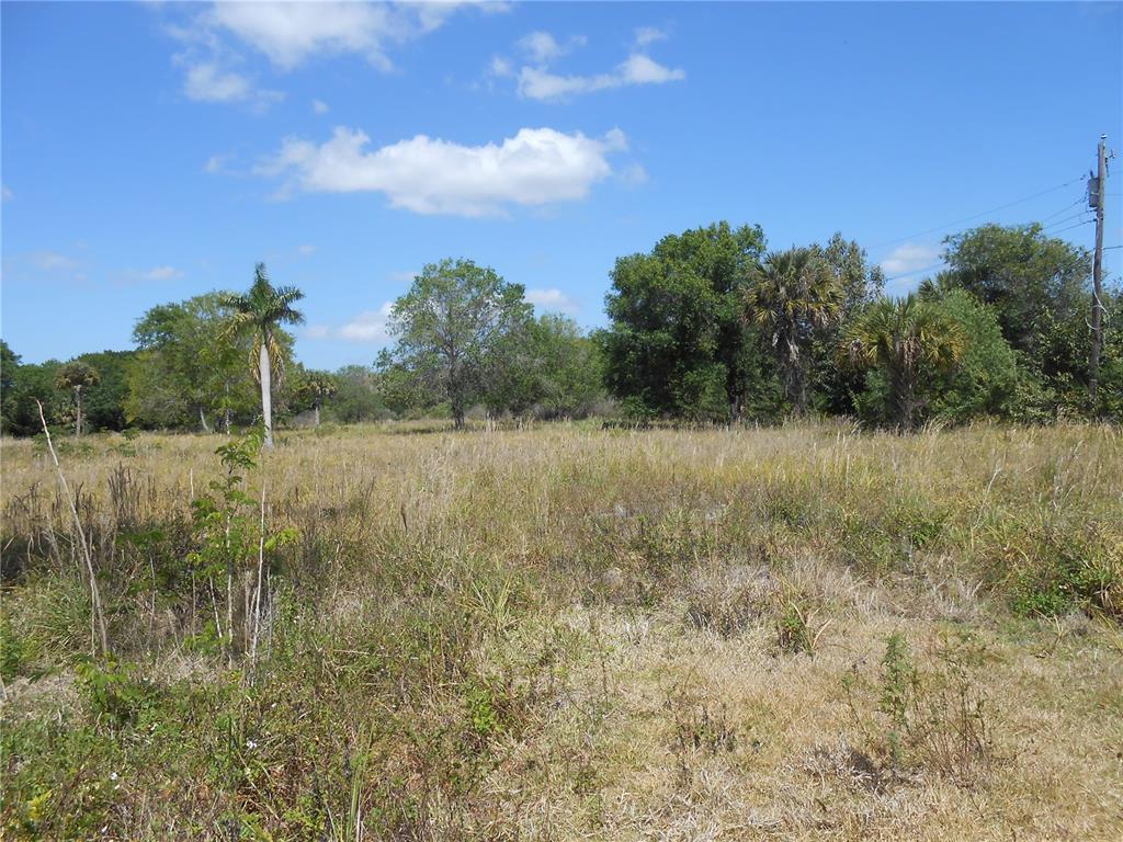 Property for sale at 25480 DUNDEE ROAD, PUNTA GORDA, FL, 33950