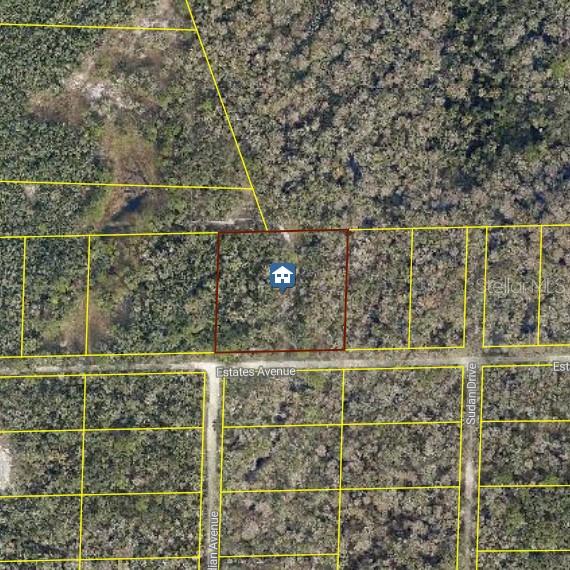 Property for sale at ROSE BLOOM AVE, WEBSTER, FL, 33597