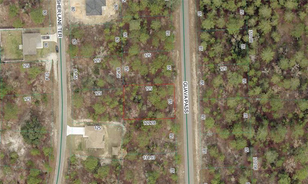 Property for sale at GUAVA PASS LOT 10, OCKLAWAHA, FL, 32179