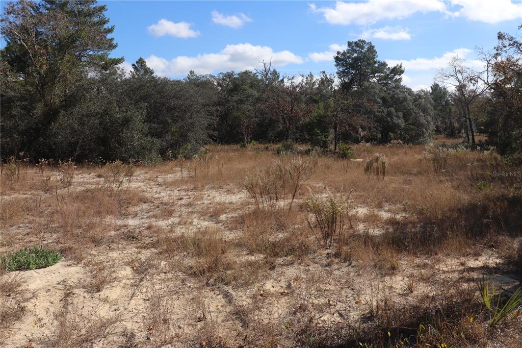 Property for sale at 9097 N PEEWEE POINT, DUNNELLON, FL, 34433