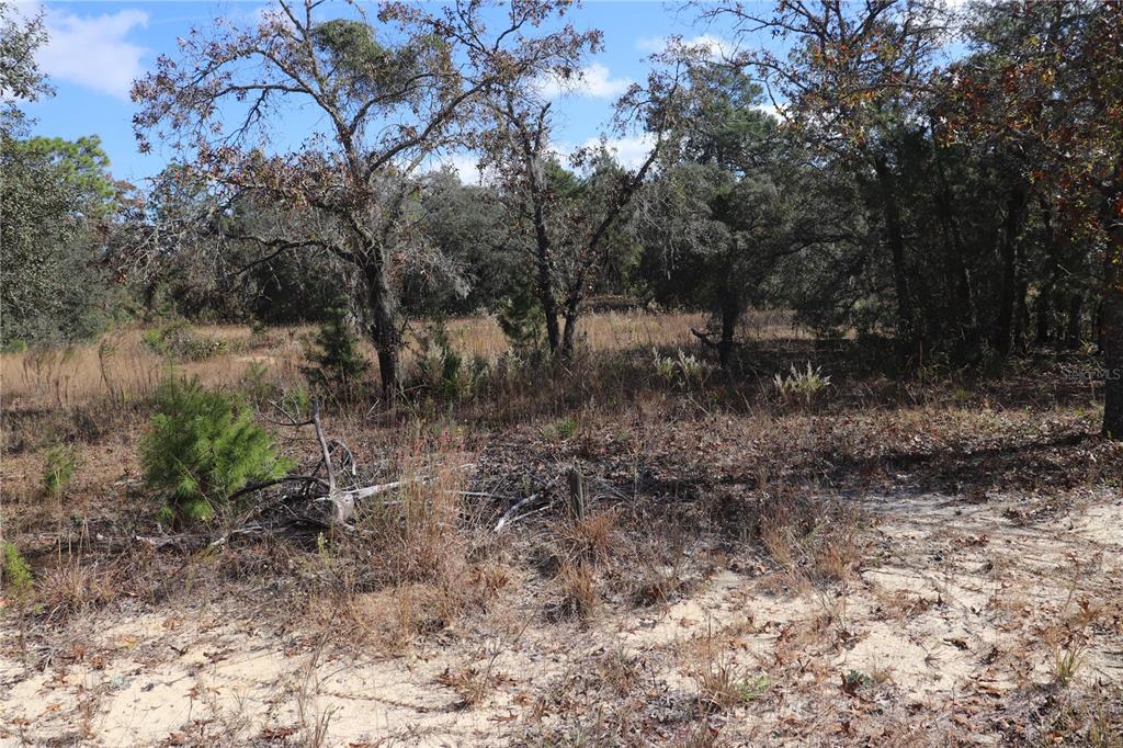 Property for sale at 9097 N PEEWEE POINT, DUNNELLON, FL, 34433