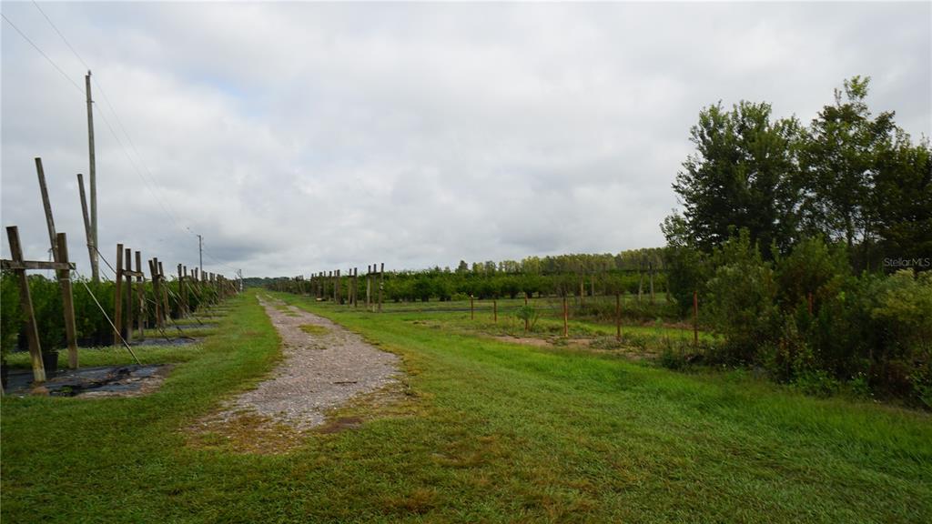Property for sale at DOUGLAS ROAD, GROVELAND, FL, 34736