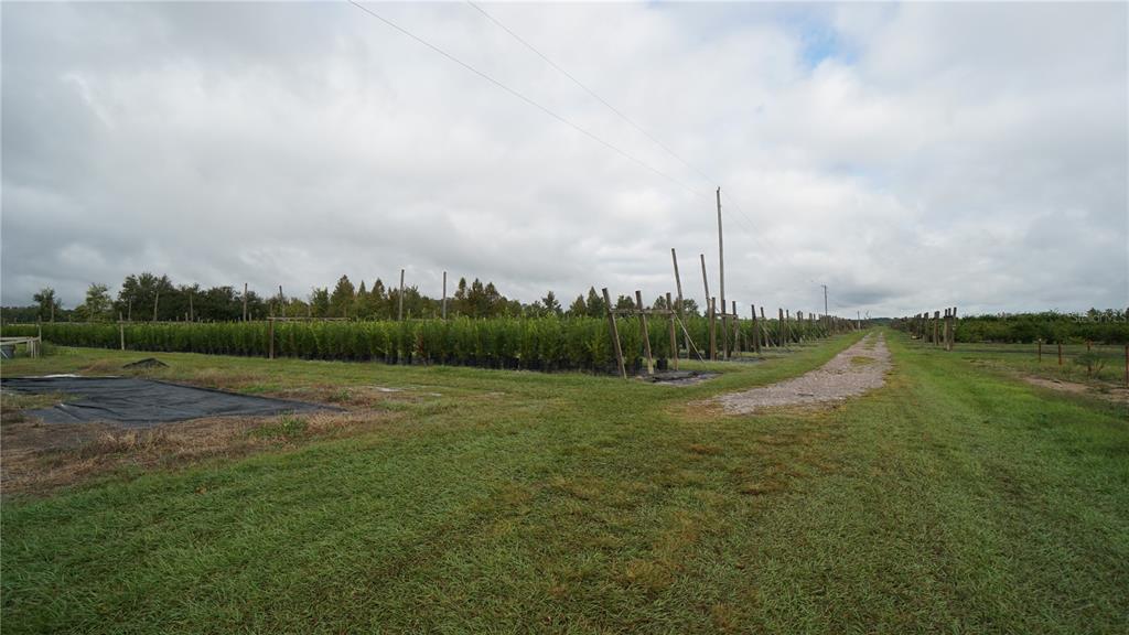 Property for sale at DOUGLAS ROAD, GROVELAND, FL, 34736