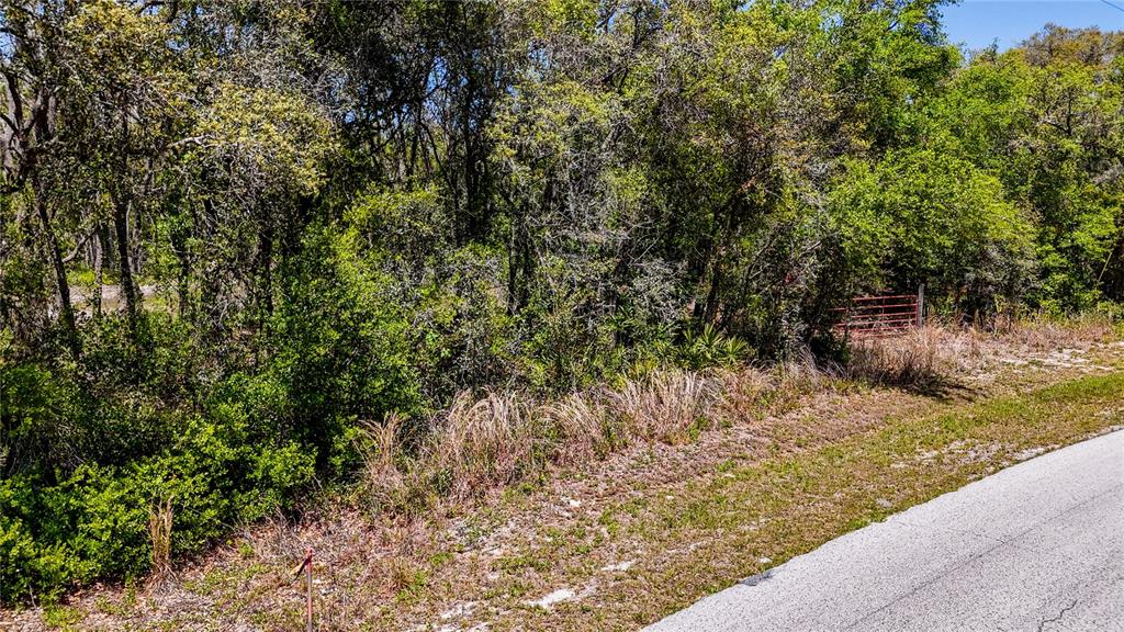 Property for sale at 34281 UMBRELLA ROCK DRIVE, WEBSTER, FL, 33597