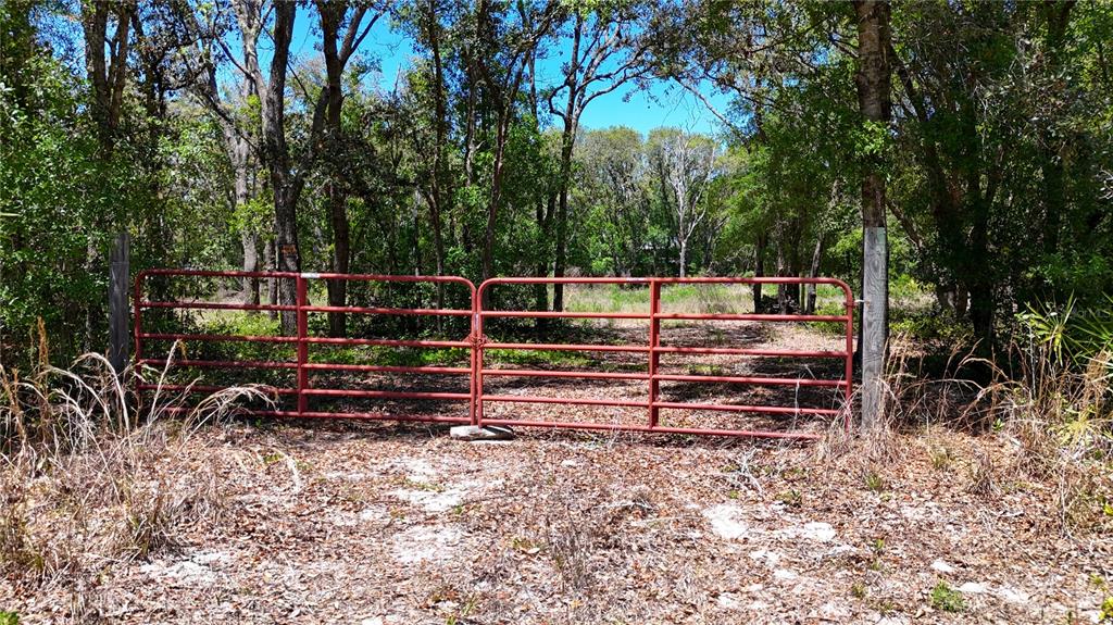 Property for sale at 34281 UMBRELLA ROCK DRIVE, WEBSTER, FL, 33597
