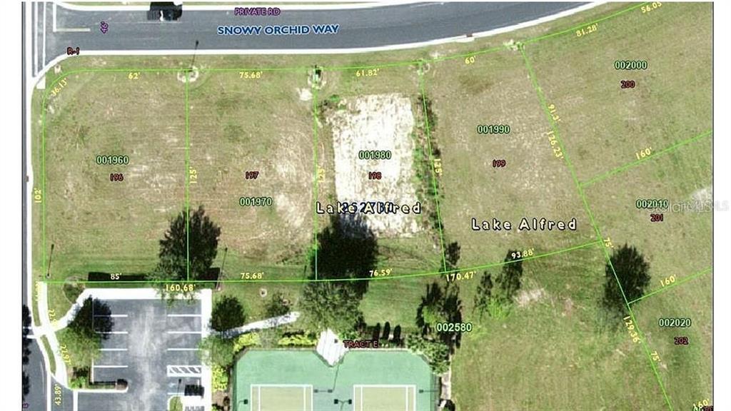 Property for sale at 225 N SNOWY ORCHID WAY, LAKE ALFRED, FL, 33850