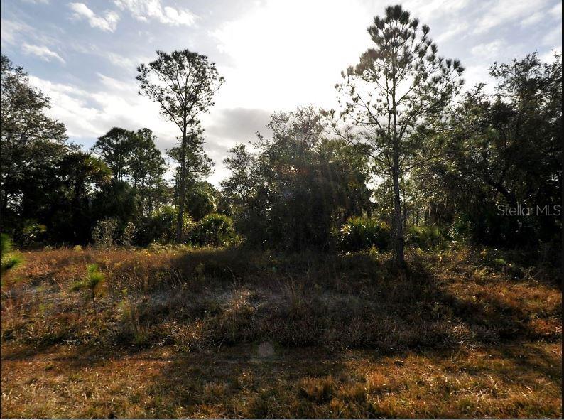 Property for sale at MARSDEN AVENUE, NORTH PORT, FL, 34288