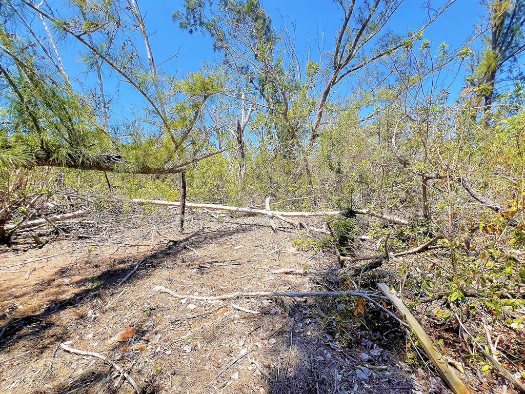 1.5 ACRES (+/-) Interior of Island