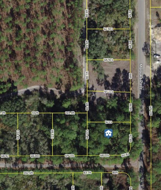 Property for sale at XXX MALAUKA PASS PASS, OCKLAWAHA, FL, 32179