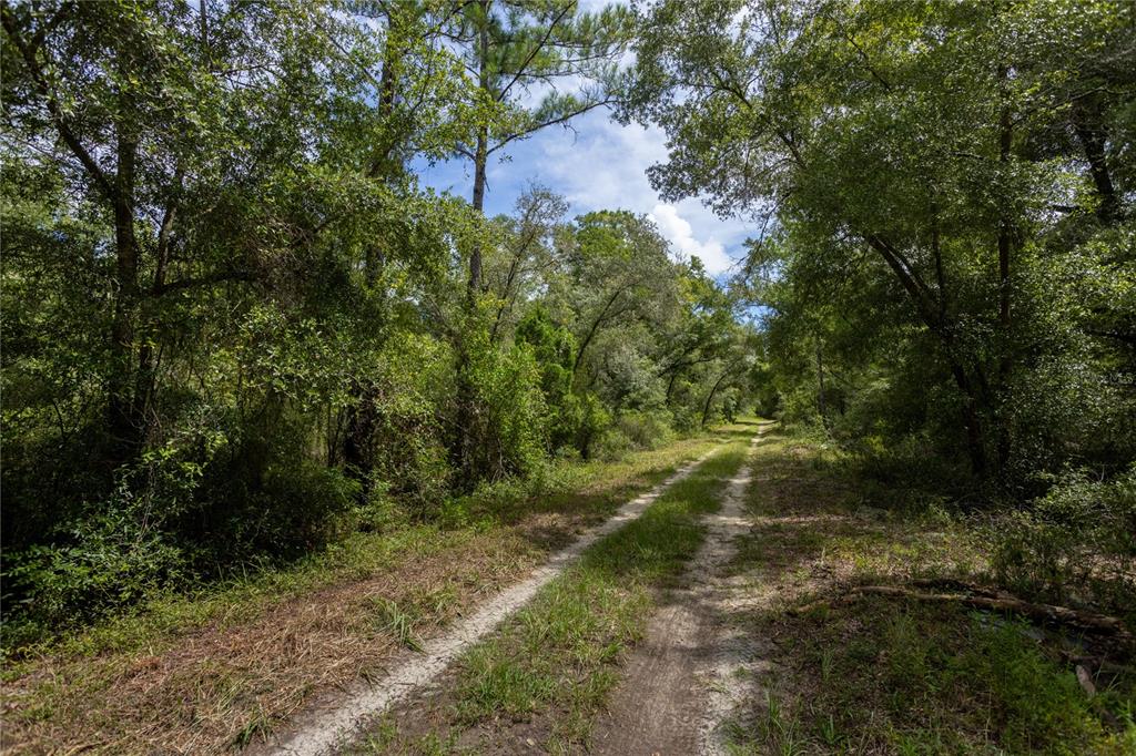 Property for sale at 0 NE 81ST STREET, BRONSON, FL, 32621